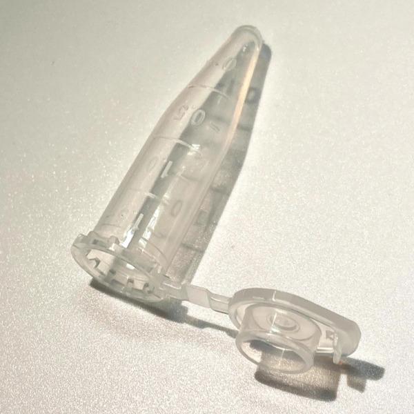 씨앗통 투명 40개