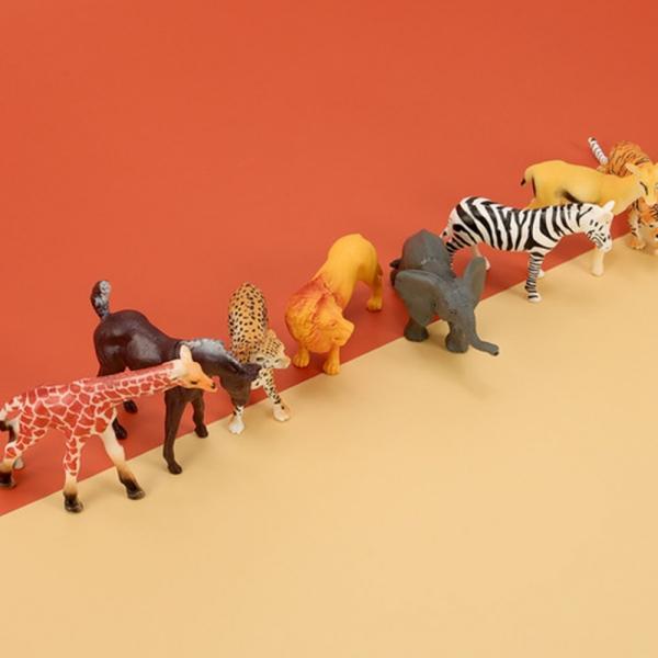 h51 캐스B 네이처 동물왕국사파리(2546)