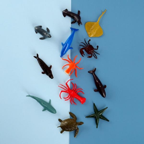 h51 캐스B 네이처 동물왕국해양(2550)