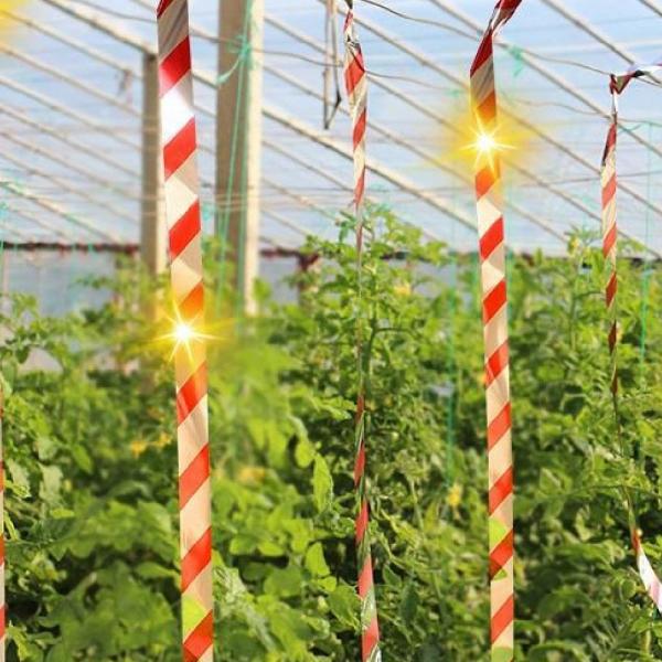 조류퇴치기 반사띠 50m 새쫓는테이프 가드 비둘기