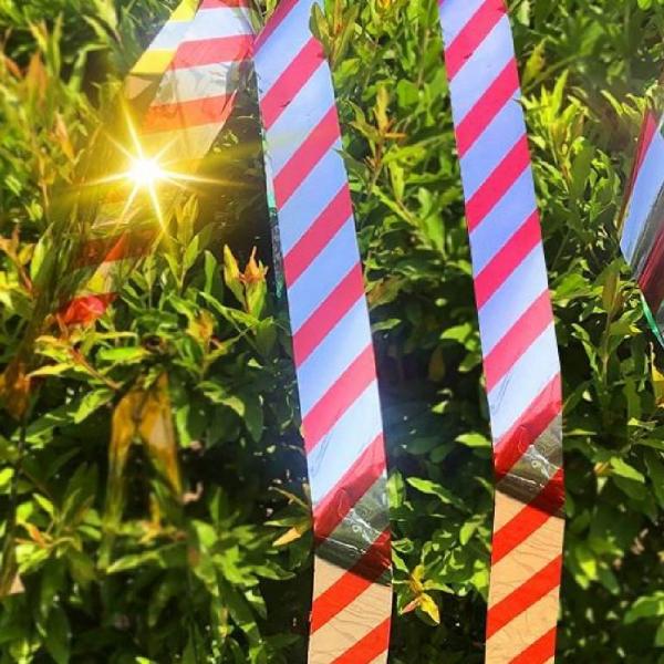 새쫓는방법 참새퇴치법 50m 조류퇴치도구 새쫓는줄