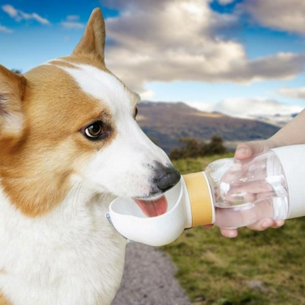 휴대용 애견물통 강아지산책물병 350ml
