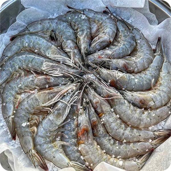 ms국내산 신안 활 흰다리새우 1kg 튀김 버터구이 캠핑요리