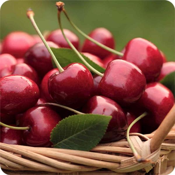 ms항공직송 고당도  다이아몬드 최상의 빙체리 500g