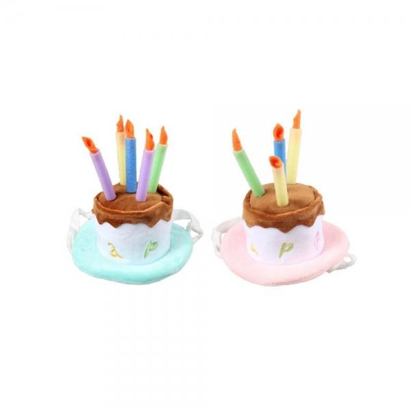강아지 생일모자