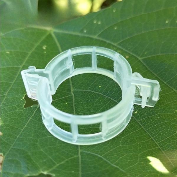 식물지지대 고정클립 10P묶음