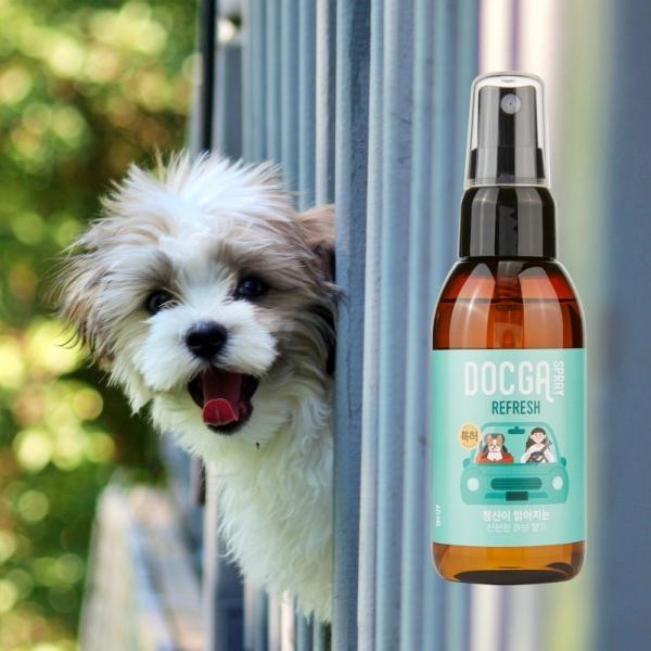 강아지 멀미 예방/완화 불안 독가 리프레시 스프레이