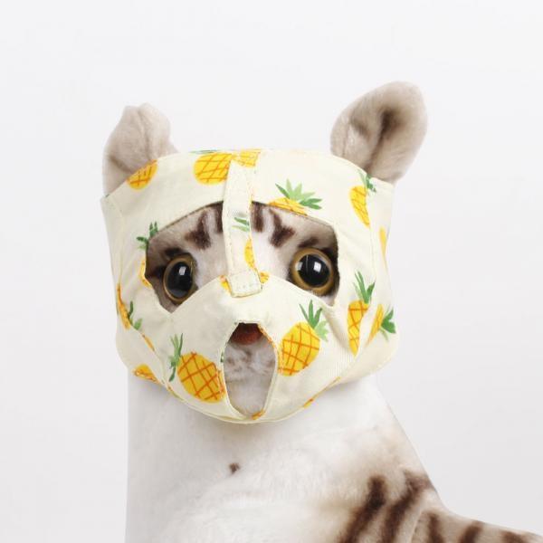 PET 고양이 물림 방지 마스크 입마개 입질 목욕