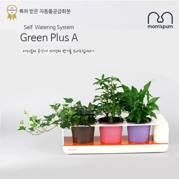 (판매가 엄수)맘스품 무동력 자동급수시스템 화분+화초 시리즈_K세트]무동력 물순환 화분 쿠아리/플라스틱화분/컬러화분/미니화분/인테리어화분