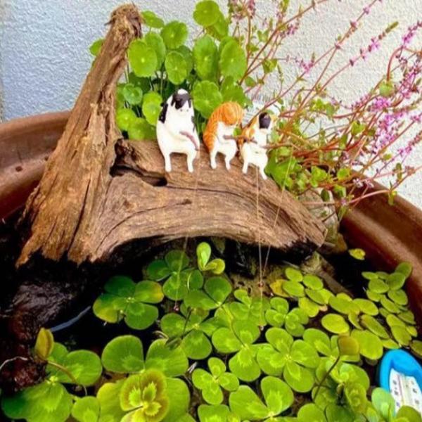 미니어처 고양이 장식 어항 꾸미기 수족관