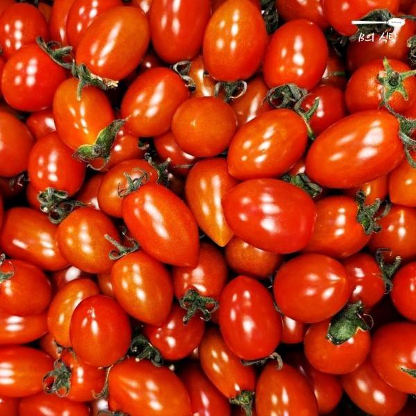 B의식탁 대추 방울 찰 토마토 750g x 2팩