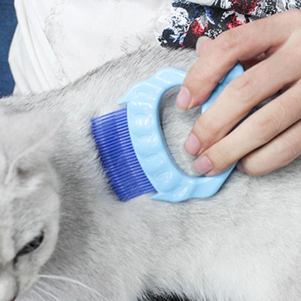 강아지 고양이 조개빗 빝 빗 털 청소기 브러쉬 모찌빗