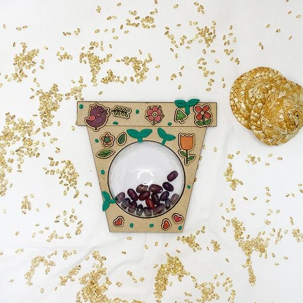씨앗 관찰 화분만들기(1인용,4인용 택 1)