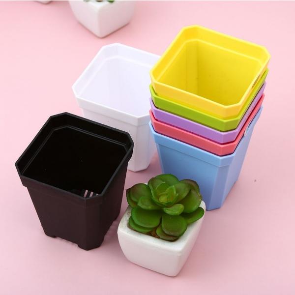 파스텔 미니 플라스틱 토분 거실화분 7x8cm