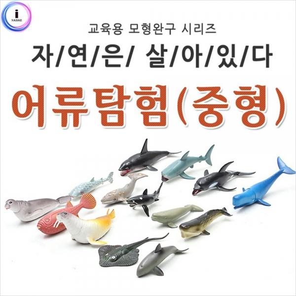 h30 자연은살아있다-어류탐험 (중형 815826C)