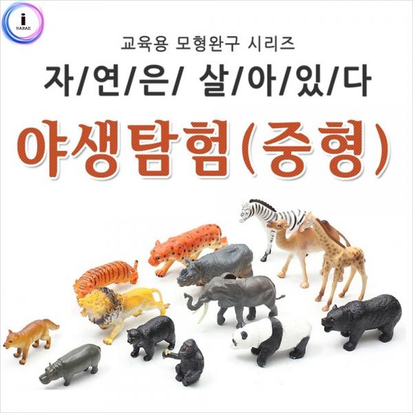 h30 자연은살아있다-야생탐험 (중형 815826A)