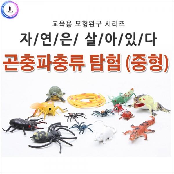 h30 자연은살아있다-곤충파충류탐험 (중형 815826B)