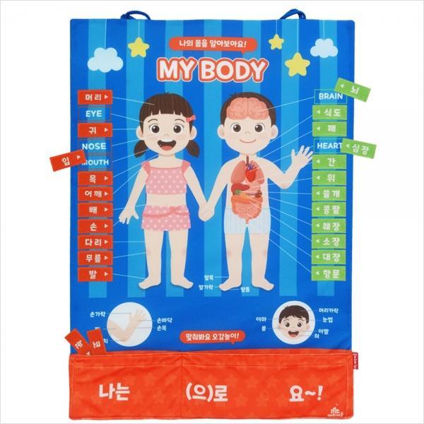 h74 MC3045 차트 소중한 나의 몸 배우기
