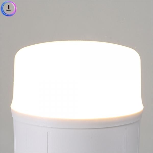 d09 53517LED T-벌브 20TYPE(18W) 전구색 E26