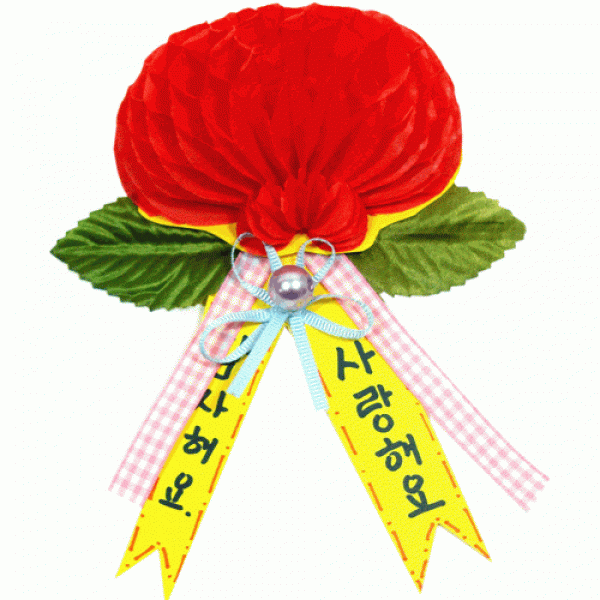 감사카네이션만들기