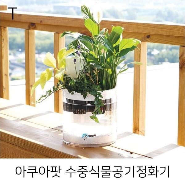 아쿠아팟 수중식물공기정화기