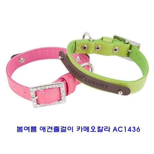 봄여름 애견줄걸이 카메오칼라 AC1436]애견줄걸이/애견목줄/패션애견목줄걸이/전용목줄/애완견목줄걸이/목보호목줄/패션목줄걸이/애견용품