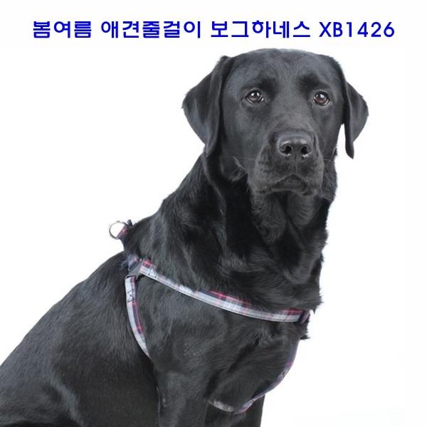 봄여름 애견줄걸이 보그하네스 XB1426