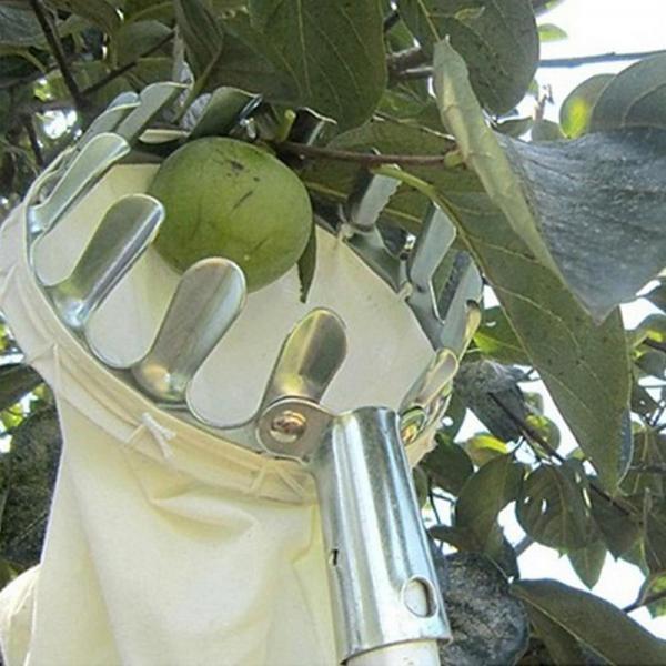 과일따기 헤드 감따기 감따개 감따는 도구 DD-12185