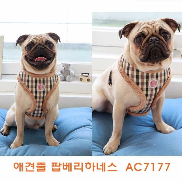 애견줄 애견줄 팝베리하네스 AC7177]애견목줄걸이/애견목줄/애견목줄리드/애견리드/전용목줄/애완견목줄/목보호목줄/패션목줄/패션애견목줄/애견용품