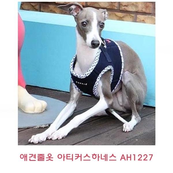 애견줄옷 아티커스하네스 AH1227]