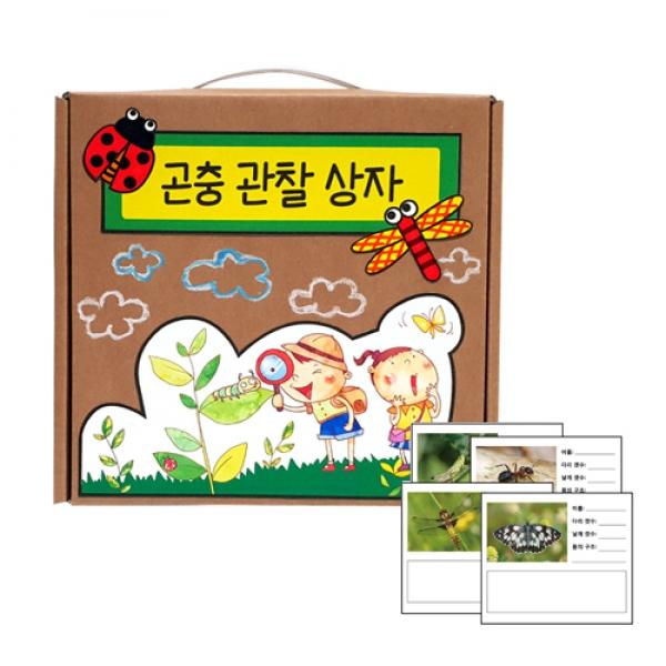 곤충관찰기록 상자 만들기