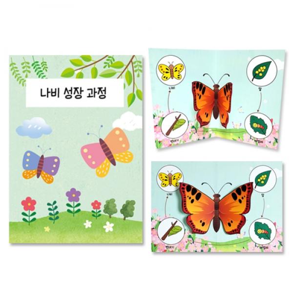 나비 관찰 팝업북 만들기