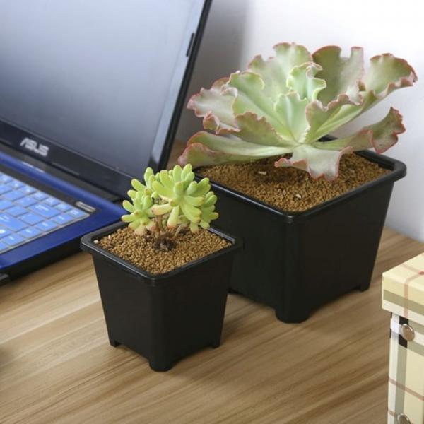 사각 플라스틱 화분 14 x 14cm