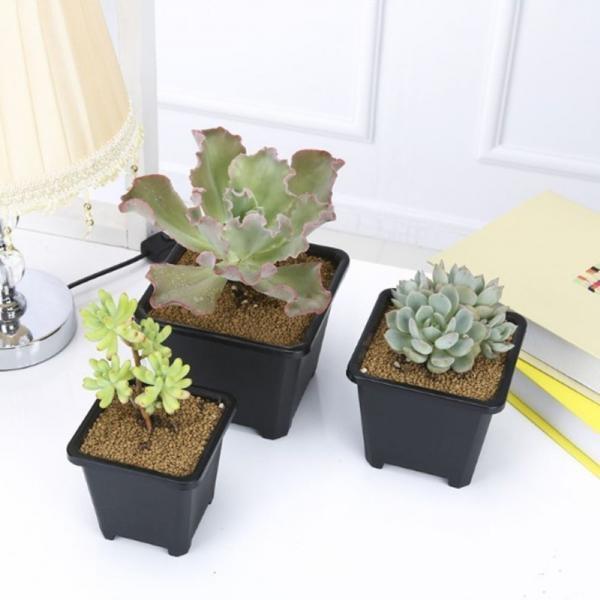 사각 플라스틱 화분 9 x 9cm