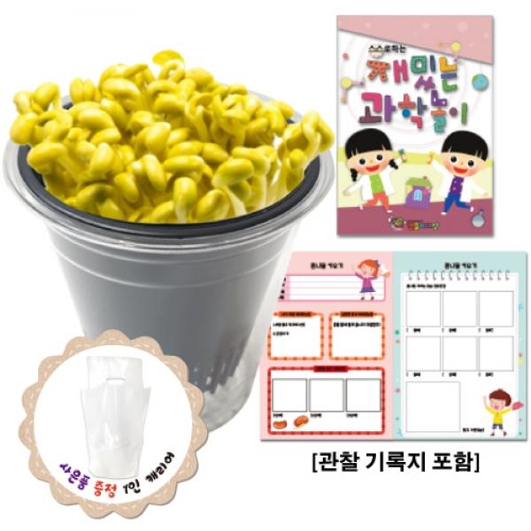 콩나물 키우기(관찰기록지포함)