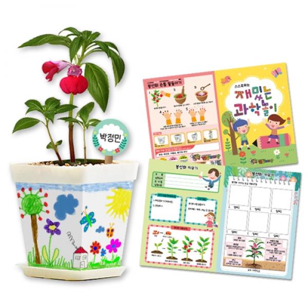 봉선화 화분 꾸며만들기[관찰기록지포함]