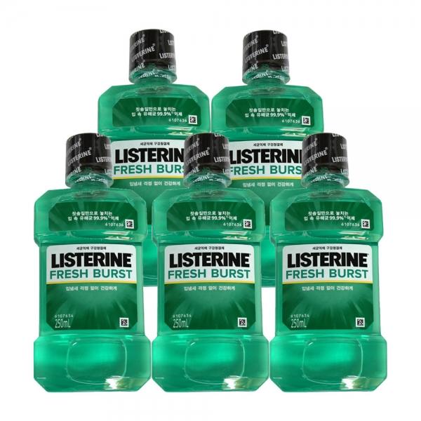 리스테린 후레쉬 버스트 250ml X 5개