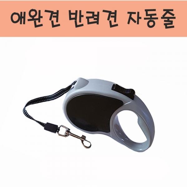 애완견 자동 리드줄 목줄. 반려견 산책가슴줄 자동줄