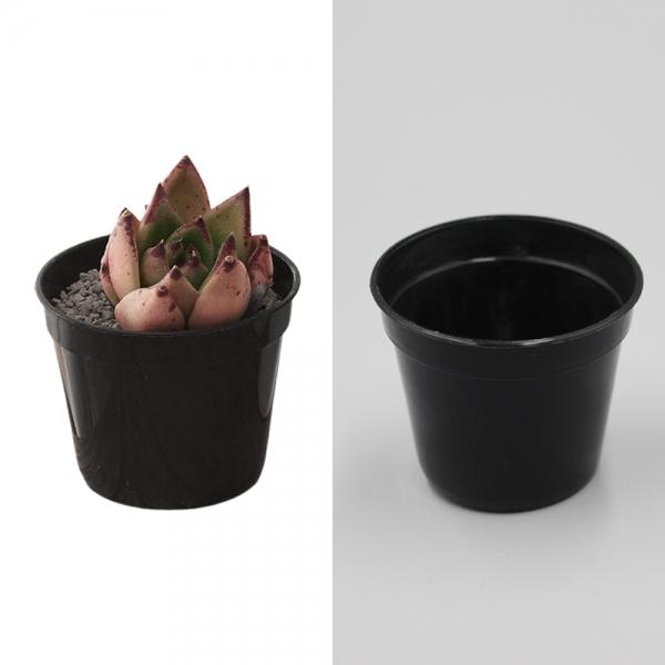 미니 원형 모종 화분