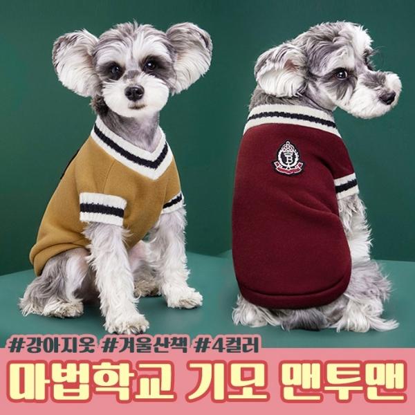 마법학교 강아지 기모 맨투맨   반려견 강아지 옷 겨울 산책옷