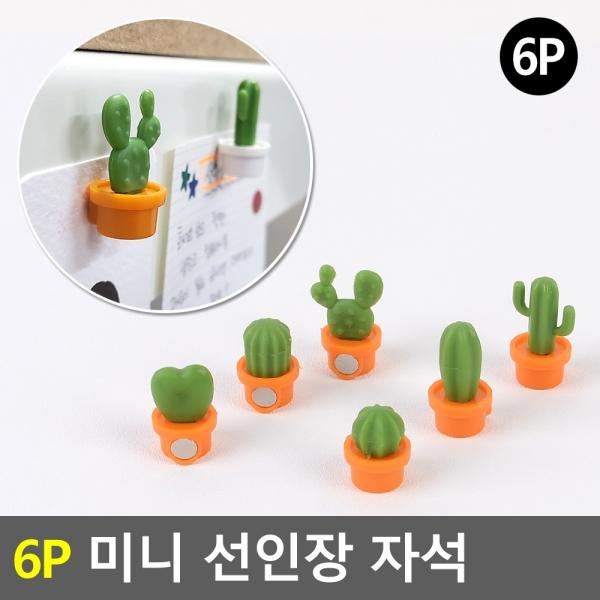 6P 미니 선인장 자석