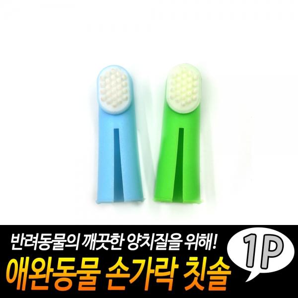 애완동물 손가락칫솔