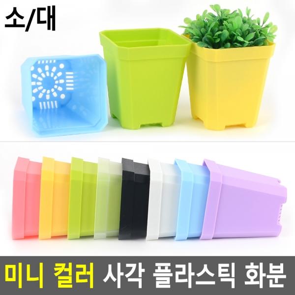 미니 컬러 사각 플라스틱 화분
