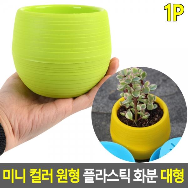 미니 컬러 원형 플라스틱 화분 대형