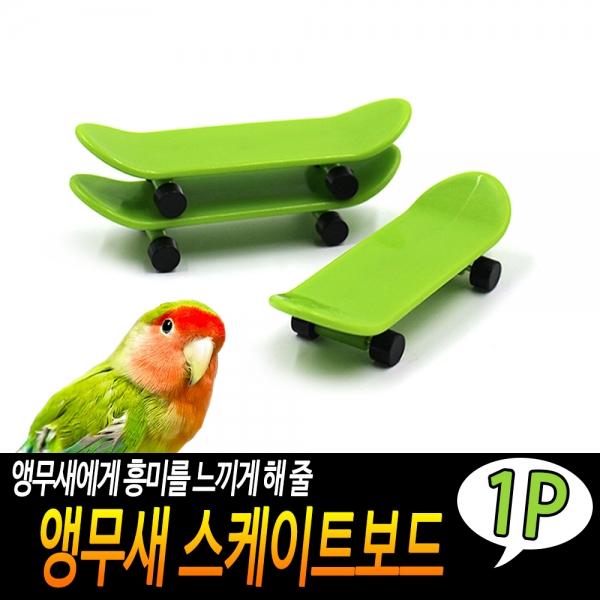 앵무새 스케이트보드