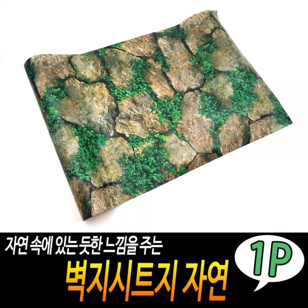 벽지시트지 자연