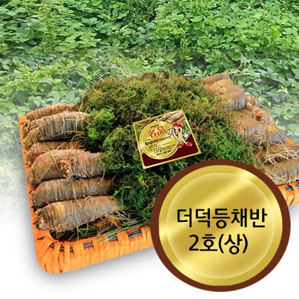 더덕등채반2호(1kg)