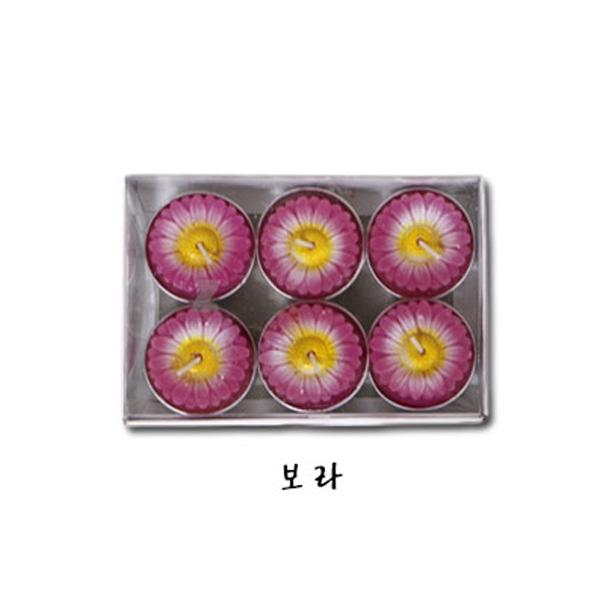 IS 태극 6p 플라워 미니양초