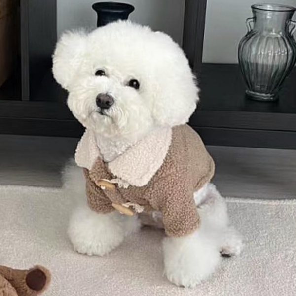 귀여운 반려동물 점퍼 강아지 단추 떡볶이 코트