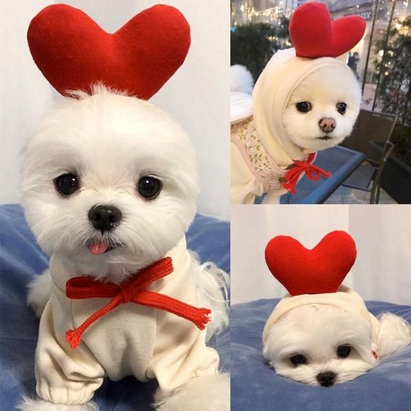 하트 귀여운 강아지 고양이 옷 코스튬 애완 반려견 애완견 애완묘 생일 이벤트 실내복